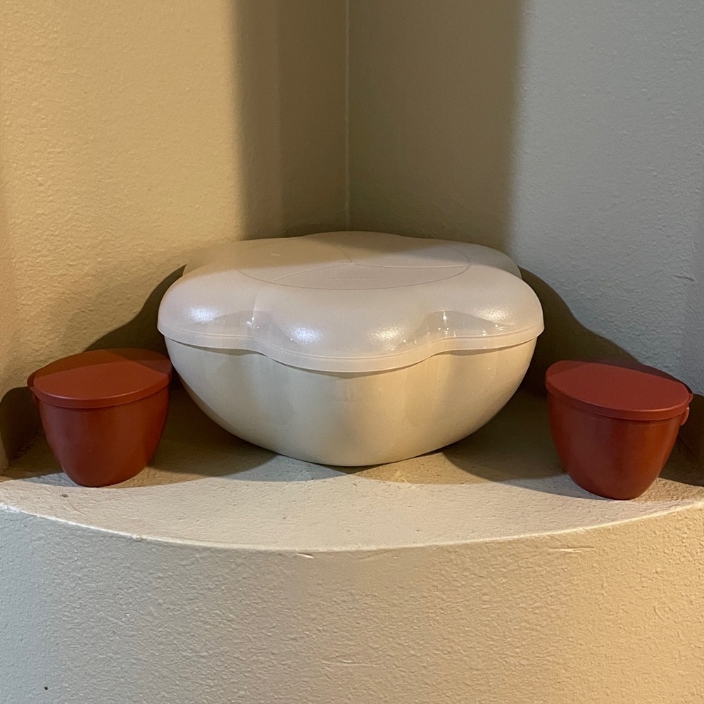 Tupperware Impressions Cream & Rust Chip n Dip Bowl